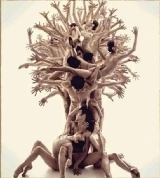 Persone unite come rami e radici di un unico albero